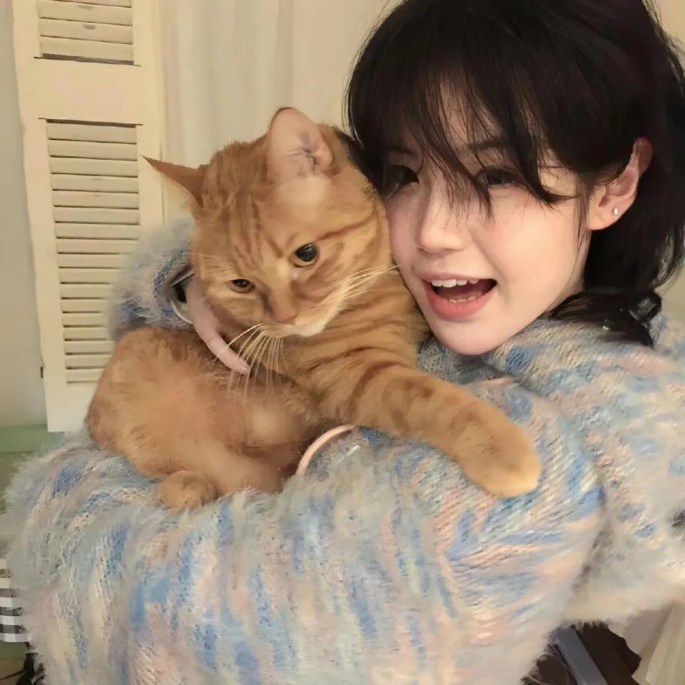 小猪佩奇第五季